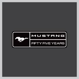 Mustang Through Ages